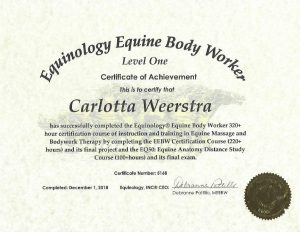 Equinology Equine Body Works Level One