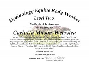 Equinology Equine Body Worker Level Two