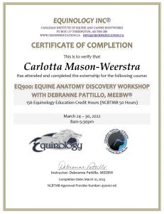 EQ900: Equine Anatomy Discovery Workshop with Debranne Patillo, MEEBW